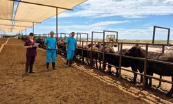 Lüleburgaz’da Rutin Aşılama ve Kontroller Devam Ediyor