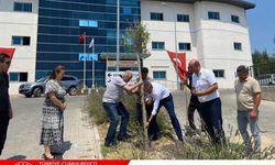 Pınarhisar Devlet Hastanesi’nde Ağaçlandırma Çalışması