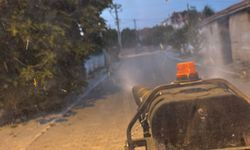 Kaynarca’da Sinek ve Haşerelere Karşı İlaçlama Sürüyor