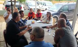 Lüleburgaz’da Ayçiçeği Tarlaları İncelendi