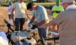Kırklareli’nde Zararlılara Karşı Drone ile Mücadele