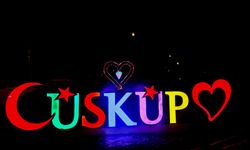 Üsküp’e Işıklı Giriş Yazısı Kazandırıldı