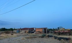 Kırsalda Hayvancılık ve Tarım Faaliyetleri Sürüyor