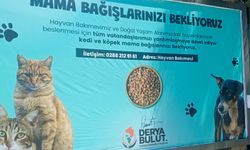 Kırklareli Belediyesi'nden Mama Bağışı Çağrısı