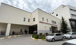 Bolu'da kene ısırması sonucu 77 yaşındaki kadın hayatını kaybetti