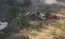 Çaycuma'da çöp yangını ormana sıçradı, 2 dönüm arazi zarar gördü