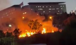 Darıca Millet Bahçesi'nde çıkan yangın söndürüldü