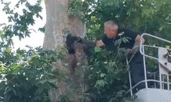 İple ağaçta asılı kalan karga kurtarıldı