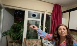 Balkonda kahve içerken üzerine ağaç devrildi