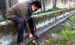 Farelerle dostluğu ile bilinen adam, otobüs durağında ölü bulundu