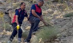 Dağda mahsur kalan koyunlar ekipler tarafından kurtarıldı