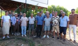 Mersin'de arazi dolandırıcılığı iddiası: Köylüler organize çetenin hedefi oldu