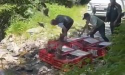Kene ile mücadele timleri doğaya salındı