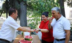 Sosyal medyadaki karpuz tartışmalarına Adana'dan cevap