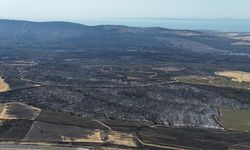 Tekirdağ’da başlayarak Çanakkale’ye ulaşan orman yangınında yanan yerler dron ile görüntülendi