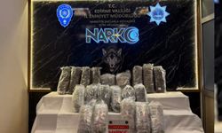 Kapıkule'de 26 kilo skunk ele geçirildi: 4 tutuklama