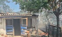 Sultangazi'de çıkan yangında 2 gecekondu kullanılamaz hale geldi