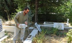 Tavşanlı'da mezarlık içinde kendisini sevdiren karga şaşırttı