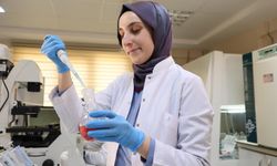 Kanseri önlemede yeni umut: kereviz tohumu
