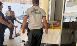 Sağlık ekipleri, evinin önünde düşen kadın için 4 buçuk saat yolculuk yaptı