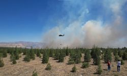 ODTÜ Ormanı'ndaki yangının tahribatı havadan görüntülendi