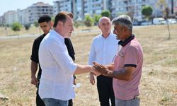 Silivri Belediyesi’nden sokak kedileri için yeni ve güvenli kedi evleri