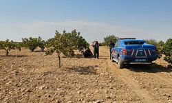 Antep fıstığı hasadı yaparken fenalaşan işçi hayatını kaybetti