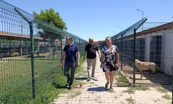Kaymakam Yıldız’dan Hayvan Bakımevine Ziyaret