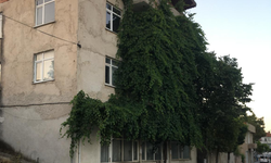 Üsküp'te Sarmaşıkların Sardığı Bina Dikkat Çekiyor