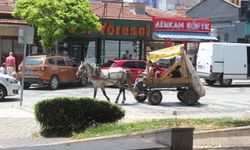 Bir Fotoğraf, Birden Fazla Gerçek
