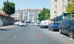 Kırklareli’nde Rüzgâr Etkisini Gösteriyor