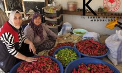 Babaeski’de Kapya Biber Üreticisine Teknik Destek