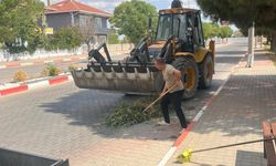 Belediye Ekipleri Sahada: Çalışmalar Aralıksız Sürüyor