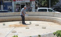 Kırklareli Özgürlük Parkı’nda Kuşlara Su ve Yem Desteği