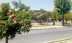 Millet Bahçesi Çevresindeki Peyzaj Çalışmaları Beğeni Topluyor