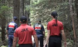 Uludağ karış karış gözlem altında