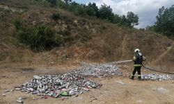 Ormana bırakılan yüzlerce sprey kutusu paniğe sebep oldu