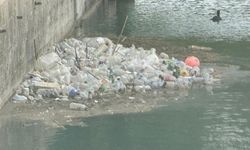 Seyhan Nehri yosun akınına uğradı, çöplerle doldu