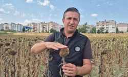 Kendilerine kepçeyle, çiftçiye çay kaşığıyla: Trakya Birlik'e tepki büyüyor
