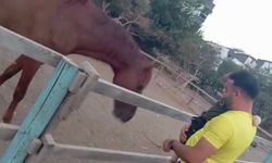 Attan beklenmedik hareket: Babasının kucağındaki çocuğu ısırarak alıp havaya fırlattı