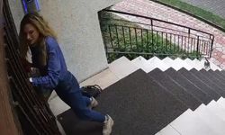 Yavru kediler, önlerine kattıkları kadını evine kadar kovaladı