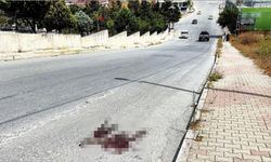 Mezarlık önünde kardeş kavgası cinayetle bitti: 1 ölü