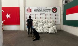 Kapıkule'de 245 kilo esrar ele geçirildi: 2 gözaltı