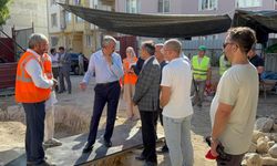 Edirne'de yıkık haldeki tarihi Çokalca Camisi yeniden ayağa kaldırılıyor