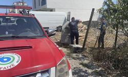 Yanıcı malzeme çöp konteynerinde yangın çıkardı