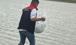 Hayrabolu'da göle 200 bin yavru sazan bırakıldı