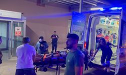 Tekirdağ'da çoban köpeğine çarpan motosikletli yaralandı
