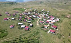 Yayla sakinleri imece usulü çalışarak bozkırı ormana dönüştürdü