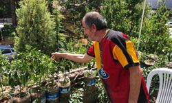 Eskişehirli esnaf iş yerinin balkonunu bahçeye çevirdi