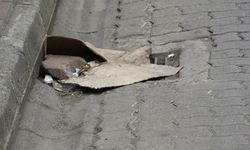 Kanalizasyon kokusuna Karadeniz usulü çözüm